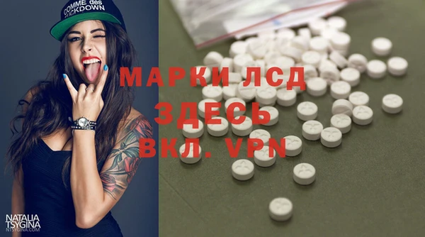 спиды Зеленокумск
