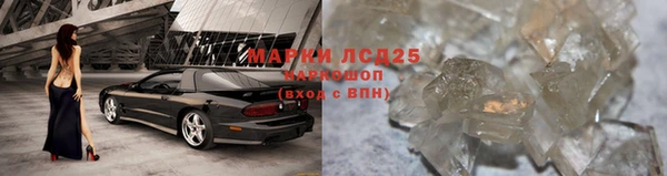 спиды Зеленокумск