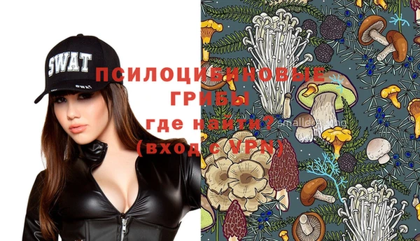 спиды Зеленокумск