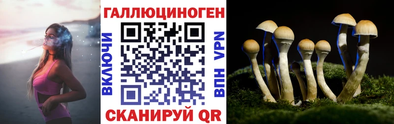 Купить закладки  Дальнегорск  Галлюциногенные грибы Cubensis 